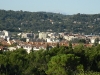 SDC10091